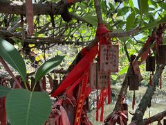 -小洲村