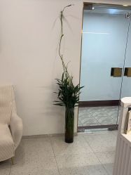 -苗方清颜·祛痘皮肤管理