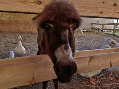 -HERRE·FARM 赫尔露营农场·团建聚会包场