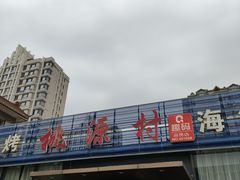 -桃源村铁锅炖鱼(体育馆道店)