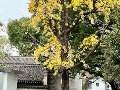 -天一阁博物院