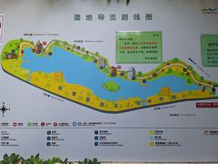 -华侨城湿地公园