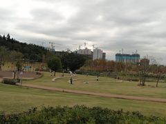 -牛岗山公园