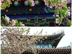 -北海公园