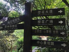 -南山植物园