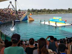 -秦皇岛乐岛海洋王国