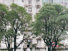 -红叶蛋糕(广达路总店)
