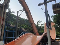 -重庆海昌加勒比海水世界