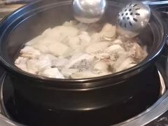 竹笙椰子鸡-百年果林椰子鸡(中洲店)