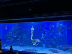 -顺德南宏海立方海洋公园