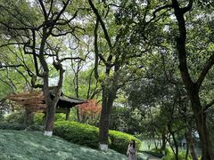 -杭州花家山庄