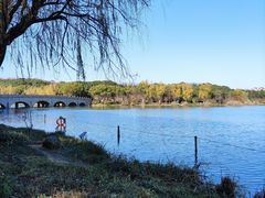 -昆山城市生态森林公园