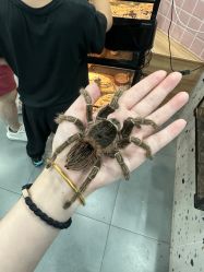 -Moni星球萌宠·小马宝莉·灵蛇·高端高阶全萌宠互动体验俱乐部(红豆国际广场店)