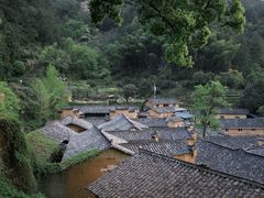 -杨家堂村