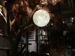 -喵屿·大理花园猫咖