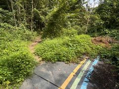 -桤木河湿地公园