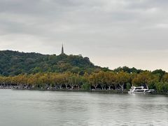 -湖畔居茶楼(湖滨店)