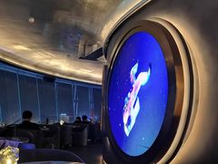 -Hi City·城市之巅