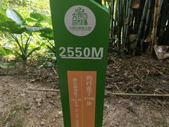-佛山市三水区大南山森林公园