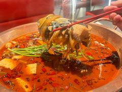 -龙巢盱眙龙虾·牛蛙·烧烤宵夜(八卦岭店)
