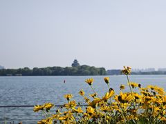 -金鸡湖景区