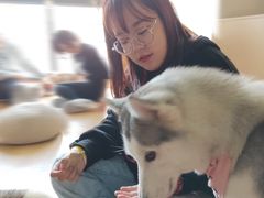 -Husky Go! 哈士奇体验馆·宠物咖啡厅狗咖