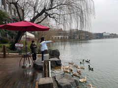 -上海怡沁园度假酒店