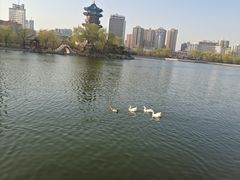 -迎泽公园