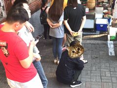 -郭阿姨月亮馍