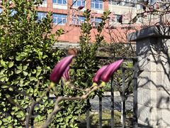 -首都医科大学附属北京友谊医院(西城院区)