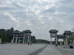 -王借岗森林公园