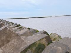 -南汇嘴观海公园