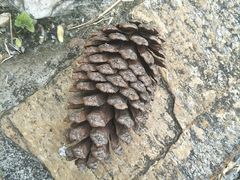 -白塘生态植物园