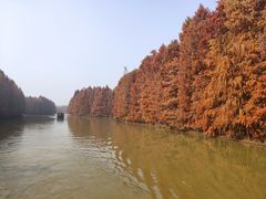 -上海海湾国家森林公园