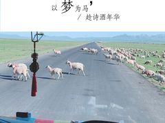 -叠溪松坪沟景区