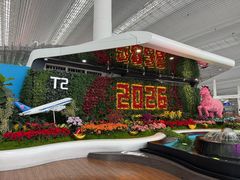 -广州白云国际机场-T2航站楼