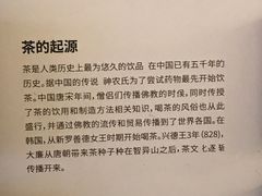 -雪绿茶博物馆