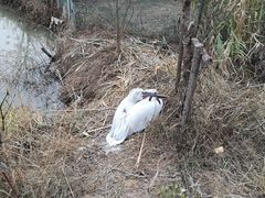 -长兴太湖图影湿地文化园