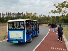 -上海长兴岛郊野公园