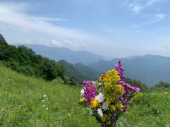 -灵山