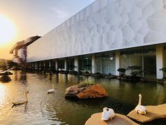 -罗红摄影艺术馆