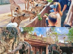 -长鹿旅游休博园