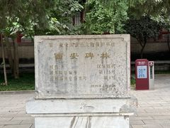 -西安碑林博物馆