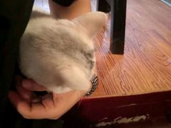 -张记牛肉面馆(天津路店)