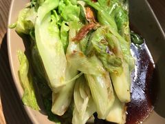 -MR鹅外