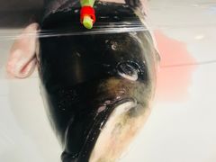 -永安鱼庄·镇江菜(丁卯店)