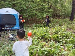 -黑龙江省森林植物园