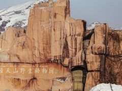 -新疆天山野生动物园