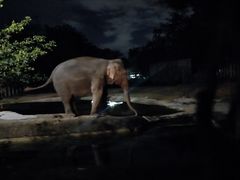 -清迈夜间动物园