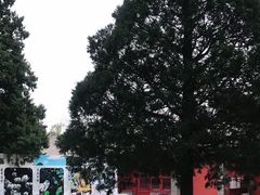 -红螺寺